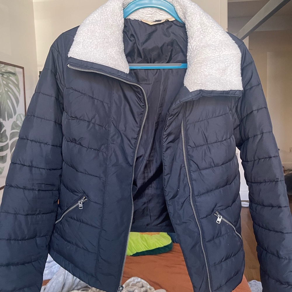 Hollister Winter Jacket